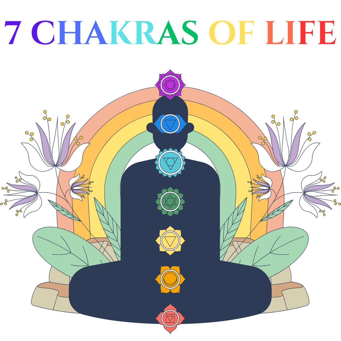 The 7 Chakras of Life