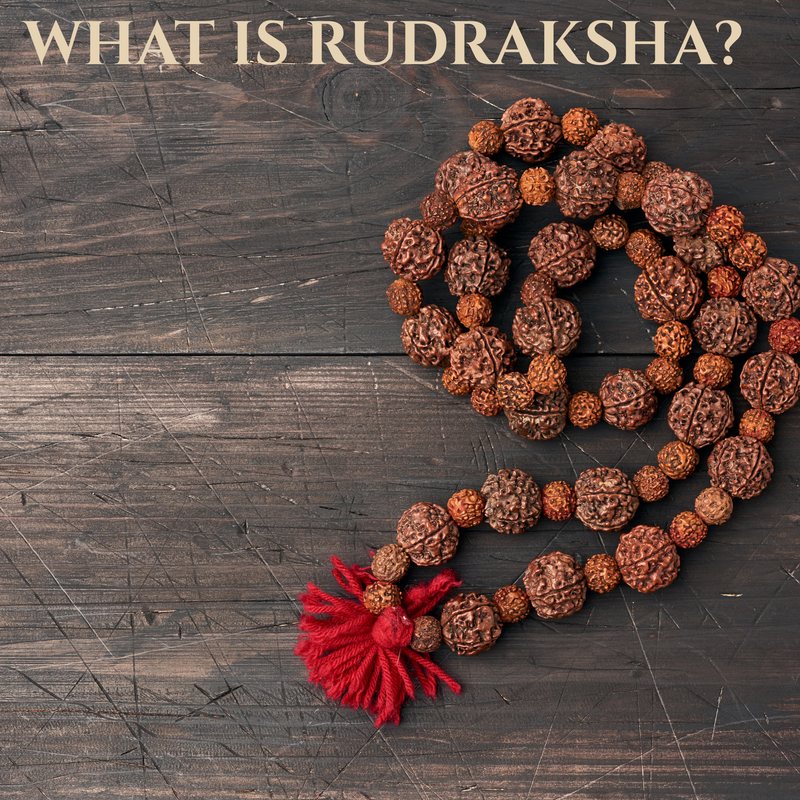 What is Rudraksha?