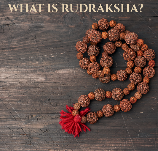 What is Rudraksha?