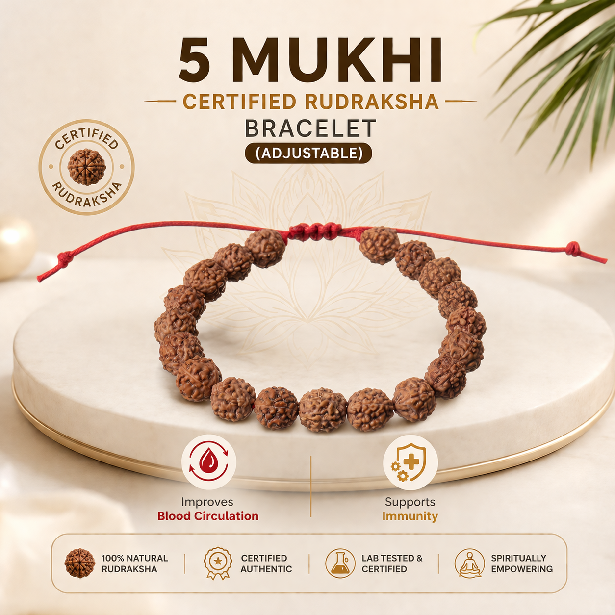 5 Mukhi Certified Rudraksha Bracelet