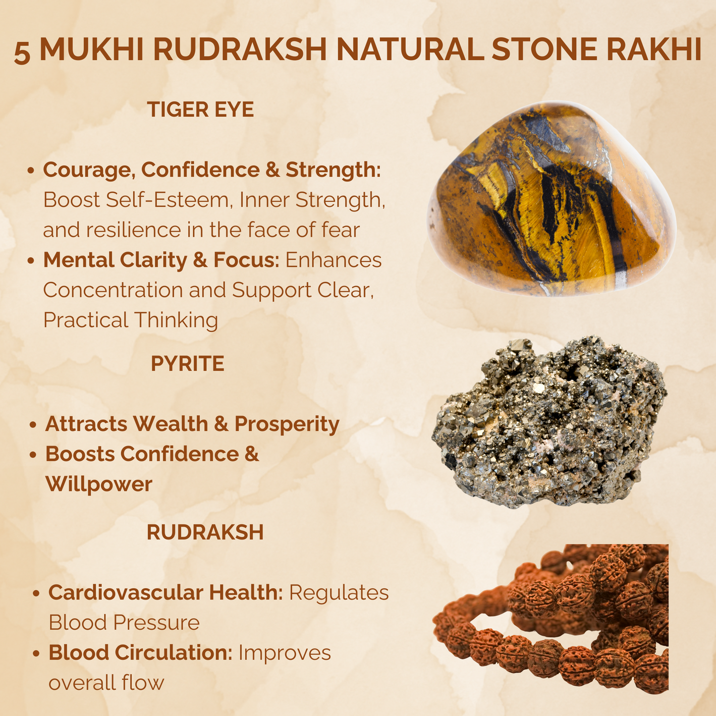 5 Mukhi Rudraksh Natural Stone Rakhi