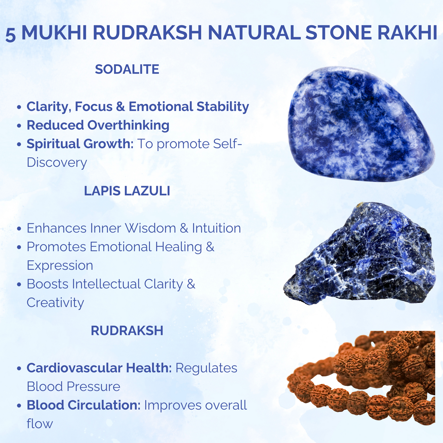 5 Mukhi Rudraksh Natural Stone Rakhi